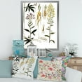 thumbnail image 3 of Designart 'Ancient Plant Life VIII' Farmhouse Framed Art Print, 3 of 4