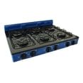 thumbnail image 2 of Parrilla Fraga P330 A Gas 6 Quemadores Porcelanizada azul, 2 of 4