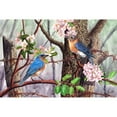 thumbnail image 3 of Dornish, Al 24x17 Black Modern Framed Museum Art Print Titled - Bluebirds, 3 of 5