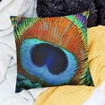 thumbnail image 2 of BANET Square Velvet Fabric Throw Pillow Cushion Cover Pattern Feathers Double Sides Various 20x20in, 2 of 5
