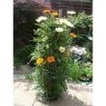 thumbnail image 3 of jardinera de torre,jardinera vertical de de pared del jardín,pared de estación de propagación de del jardín,buzón con jardinera Wall Hanging Flowerpot,Jardinera de, 3 of 8