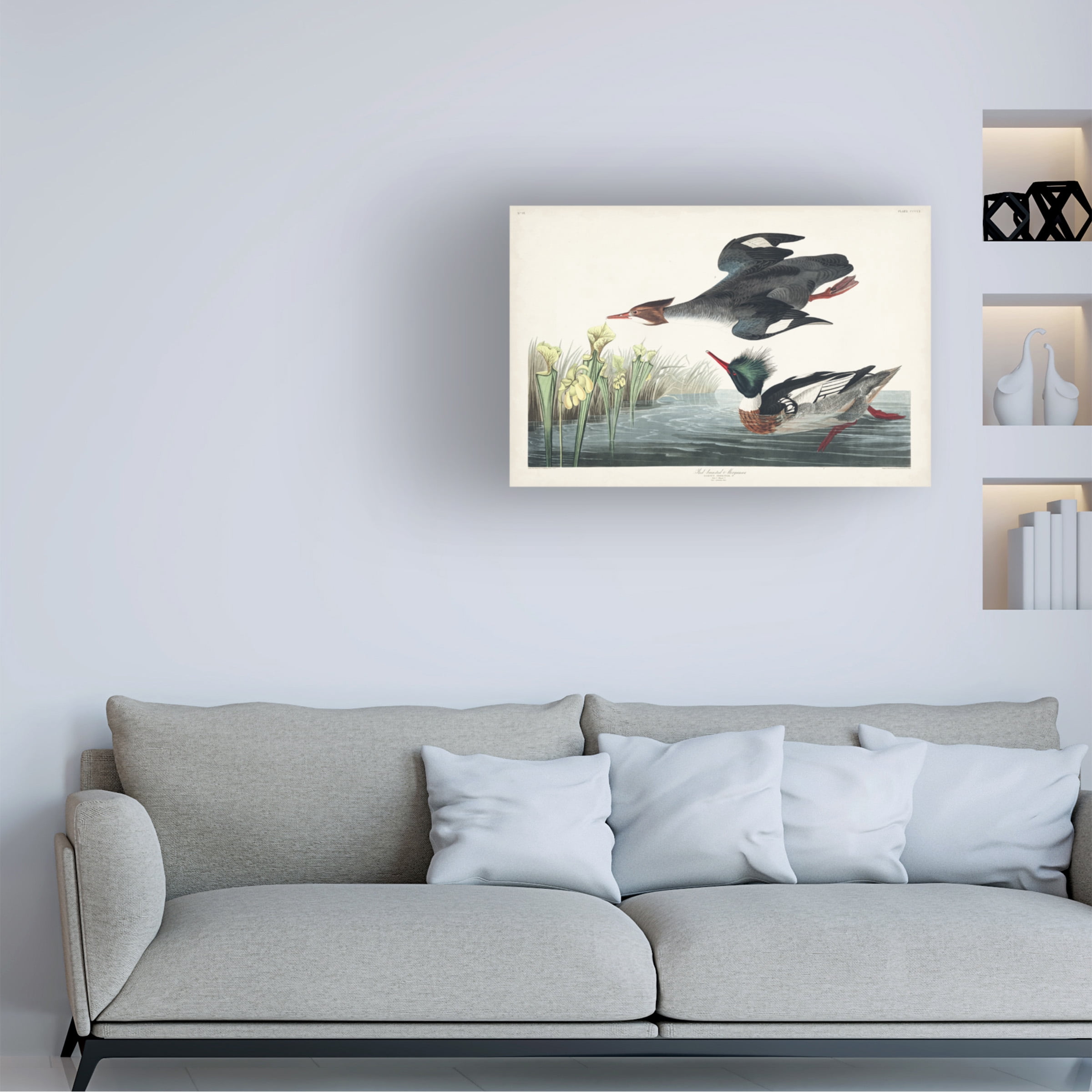 John James Audubon 'Red Breasted Merganser Duck' Canvas Art
