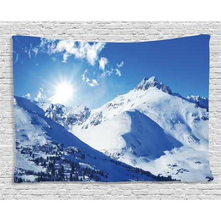 Winter Decorations Tapestry, Mountain Peak in Sunny Winter West Northern of States Habitat Hike Image, Wall Hanging for Bedroom Living Room Dorm Decor, 60W X 40L Inches, White Blue, by (Best Winter Hikes In White Mountains)