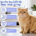 thumbnail image 3 of Probióticos para gatos Crobirware ProViable Forte, 60 ml, para apoyo digestivo, 3 of 7