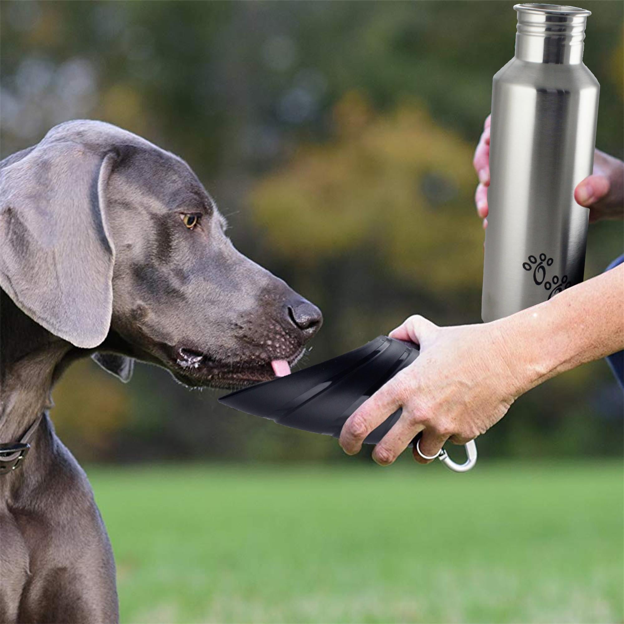 Pefilos 25.36 OZ Stainless Steel Dog Water Bottle, Portable Convenient Dog Water Dispenser, Puppy Trave Bowl Perfect Size for Small Dog Breeds, Silver and Black M Pefilos 25.36 OZ Stainless Steel Dog Water Bottle, Portable Convenient Dog Water Dispenser, Puppy Trave Bowl Perfect Size for Small Dog Breeds, Silver and Black M