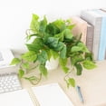 thumbnail image 4 of Planta artificial CEWOR Pothos Scindapsus Aureus de 20 cm con maceta, 4 of 7
