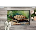 thumbnail image 2 of Carolines Treasures DAC2998JMAT 0.15 x 24 x 36 in. Turtles Tortoises Rectangle Doormat, 2 of 5