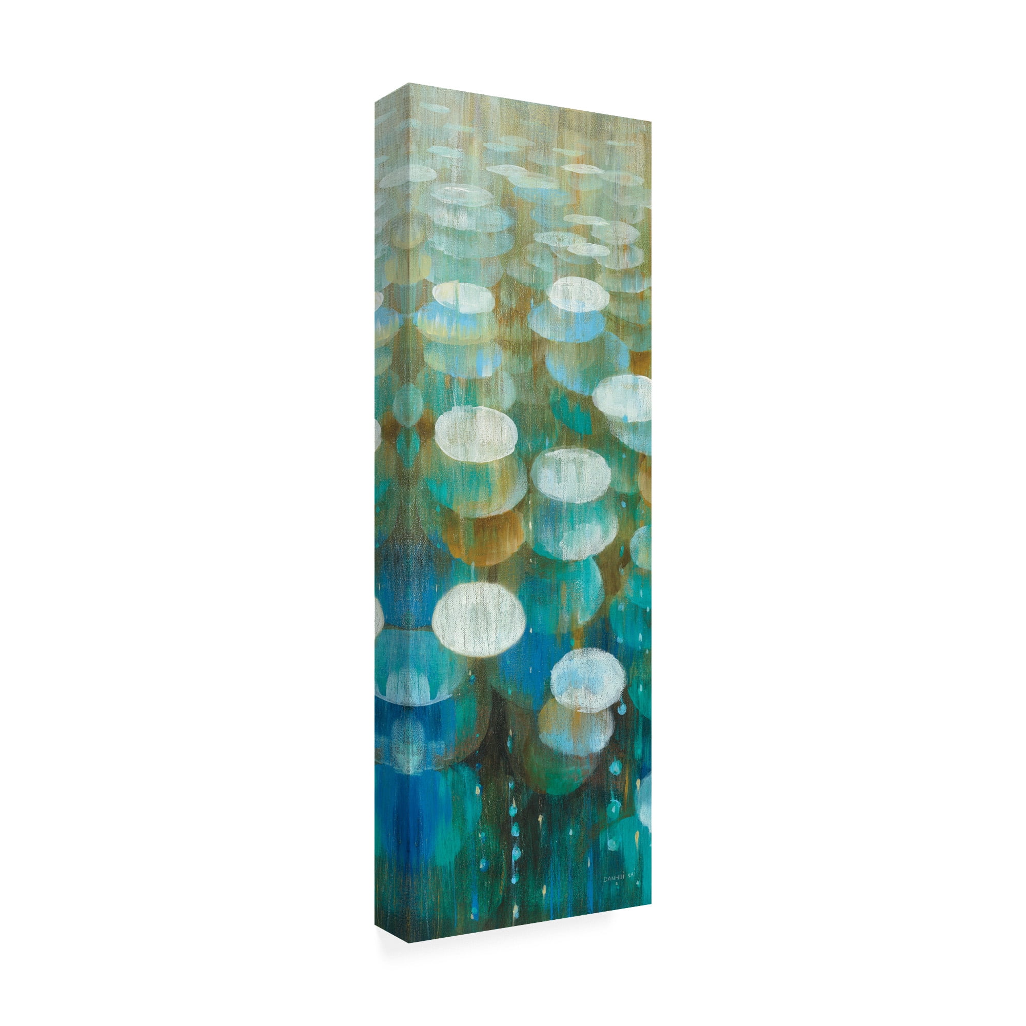 Trademark Fine Art 'Raindrops II' Canvas Art by Danhui Nai