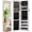 03：White-Frame-Free, variant on Skyhill Mirror Jewelry Cabinet,40in Jewelry Armoire Organizer,Door or Wall Mounted,6 LED Lights（White）