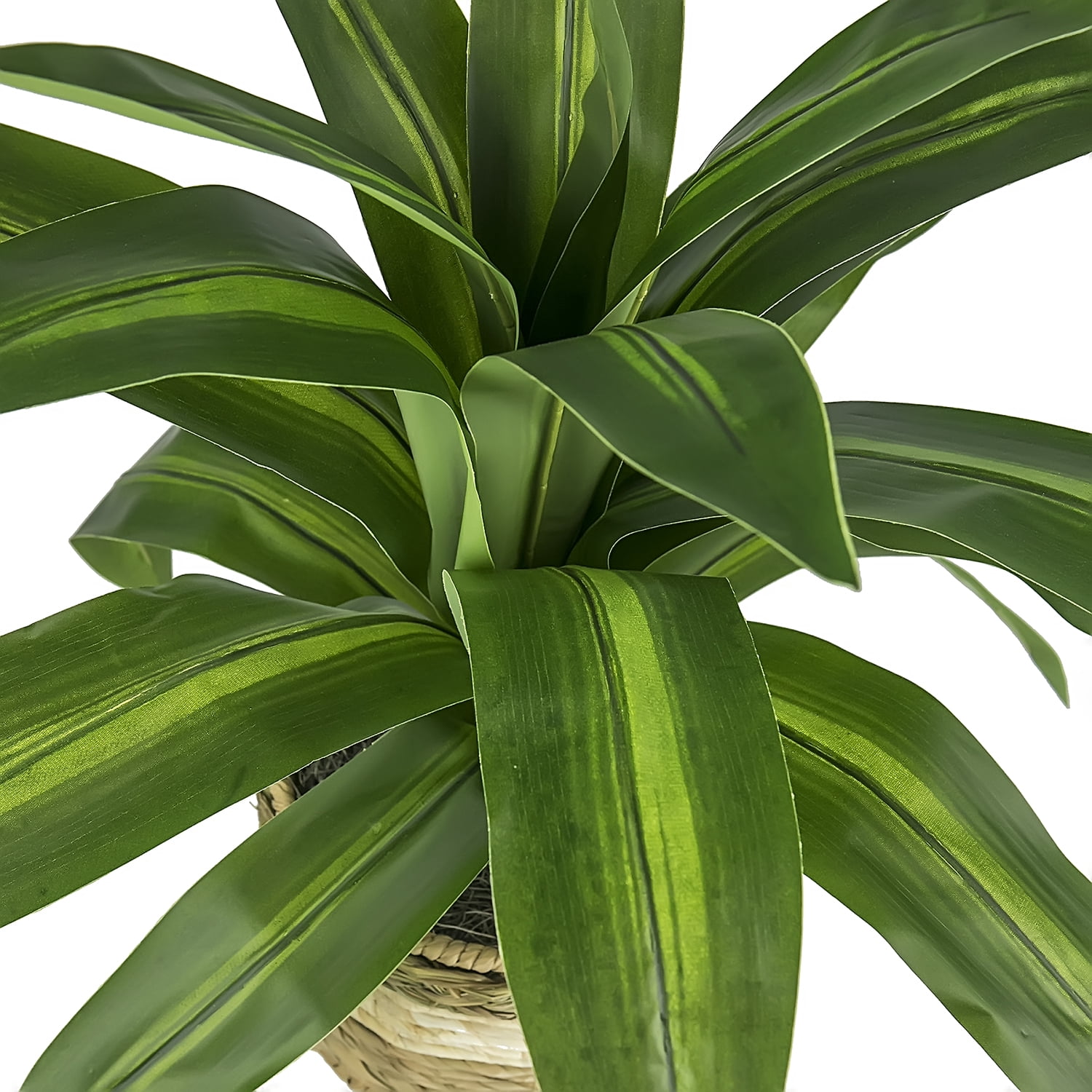 LCG Florals Artificial Plant, Dracaena Plant, 2 ft, Multi-Color Tripod Basket Stand, Faux Designer Indoor Plant for Living Room, Office, & Home Décor