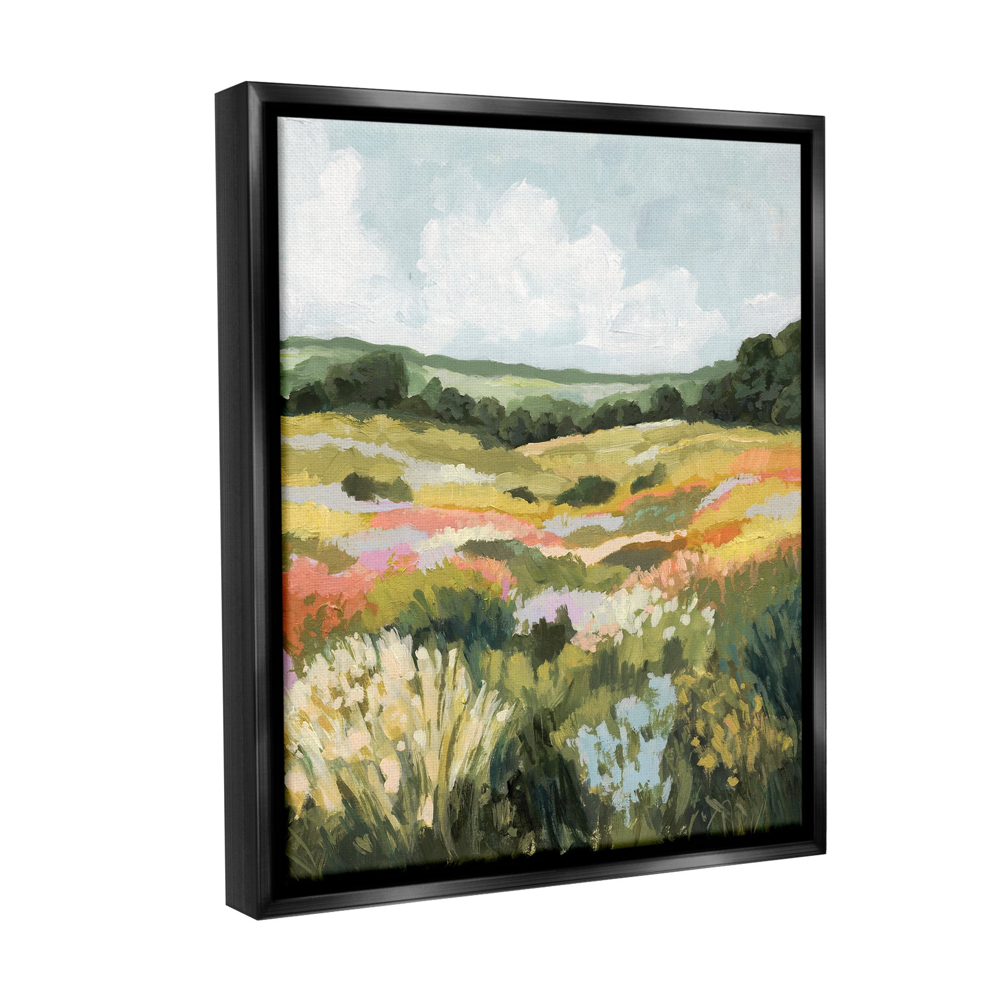 Stupell Industries Vast Meadow Landscape Landscape Painting Black Floater Framed Canvas Art Print Wall Art, 17 x 21
