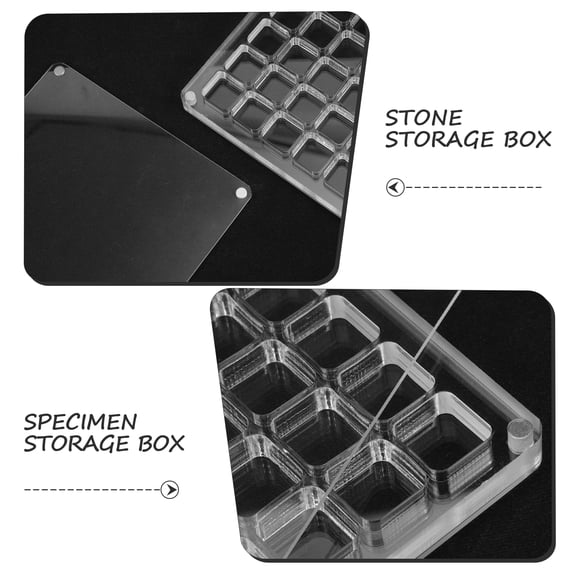 OFFIGAM Clear Acrylic Seashell Display Case with Multiple Compartments for Home Decoration and Organized Storage