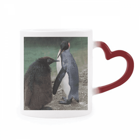 

Sea Cold Antarctic Penguin Science Nature Picture Heat Sensitive Mug Red Color Changing Stoneware Cup