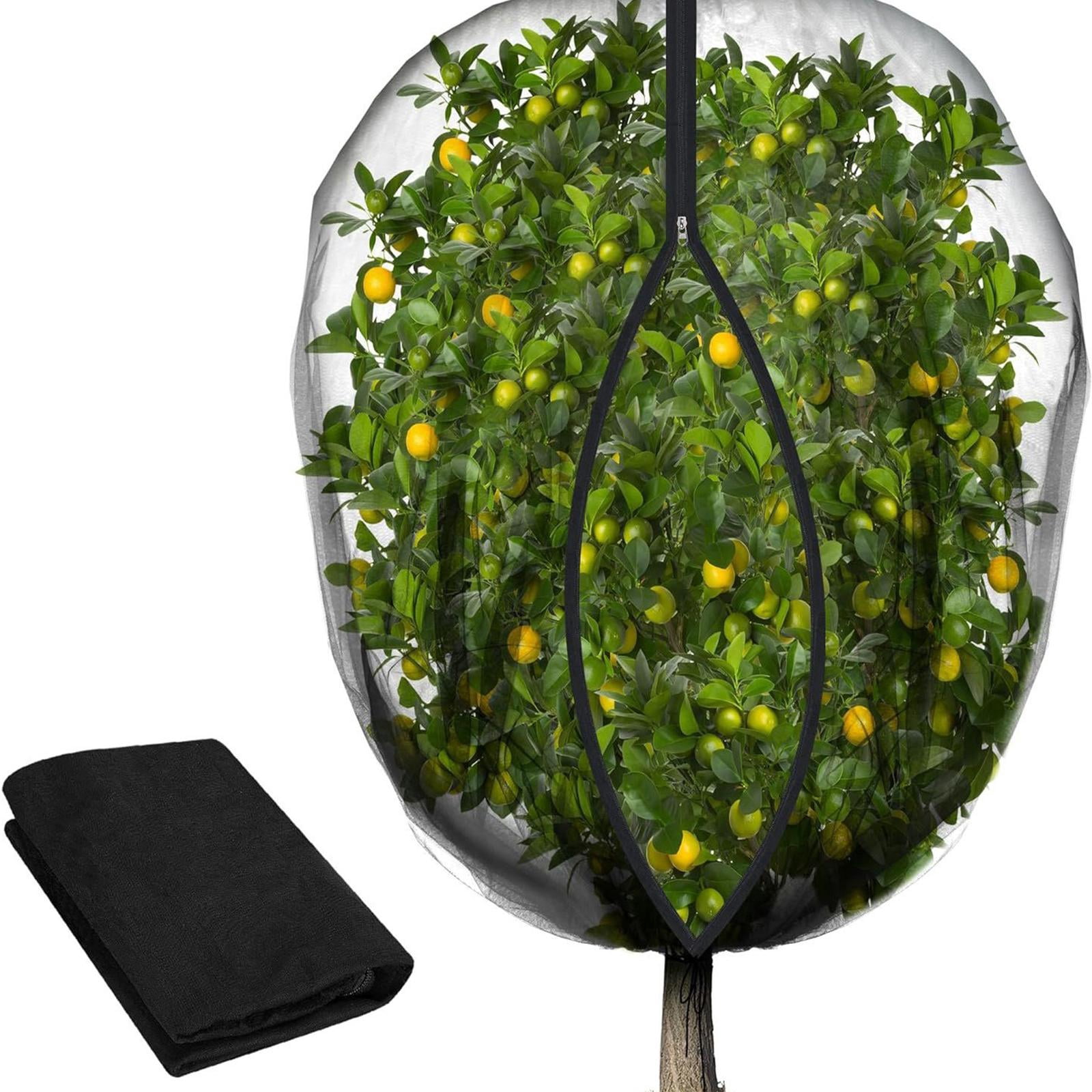 CarpNettore Fruit Tree Netting Cover, Fruit Protection Bag, Fine Mesh, Screen Barrier Garden 2.4x2.4m