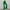 Green, variant on 50% Off Clearance Lenago Women's Leggings Casual Slim High Elastic Waist Solid Color Sports Yoga Flare Workout Pants Gift for Women