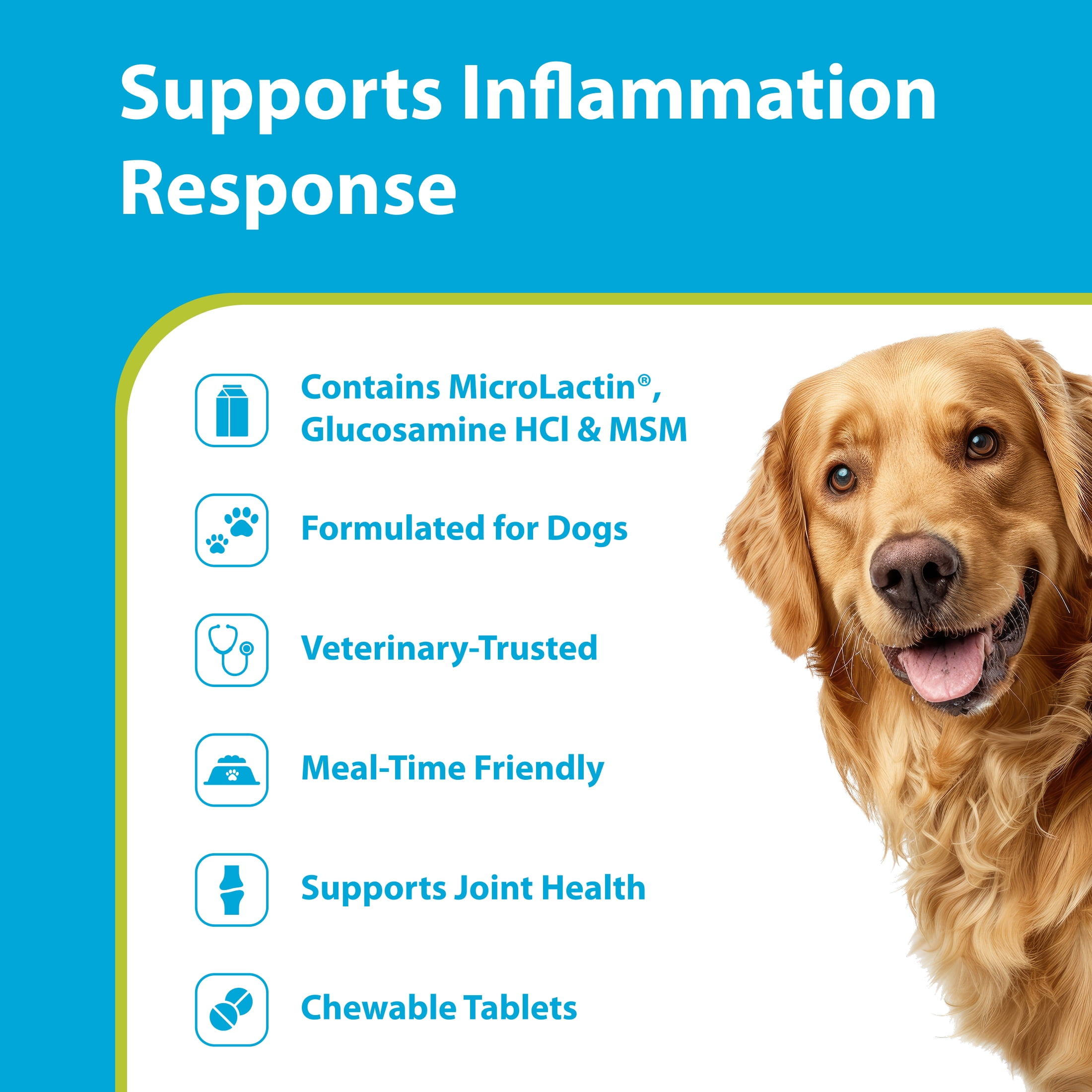PRN Pharmacal Duralactin Canine Joint Plus - Joint Health Supplement for Dogs & Puppies to Support Healthy Cartilage Levels & Joint Function while Helping Manage Soreness - 60 Soft Chews