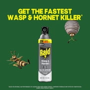 Raid Wasp & Hornet Killer Spray, 22 Ft Jet Spray Nest Killer, Outdoor, 17.5 oz