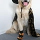thumbnail image 3 of Calcetines de algodón para mascotas Calcetines de algodón de la moda de la moda Calcetines de algodón de calabaza Calcetines de Halloween Decoración Socks S, 3 of 6