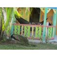 thumbnail image 4 of Parachute Expedition Hammock - Double - Olive - Green, 4 of 5