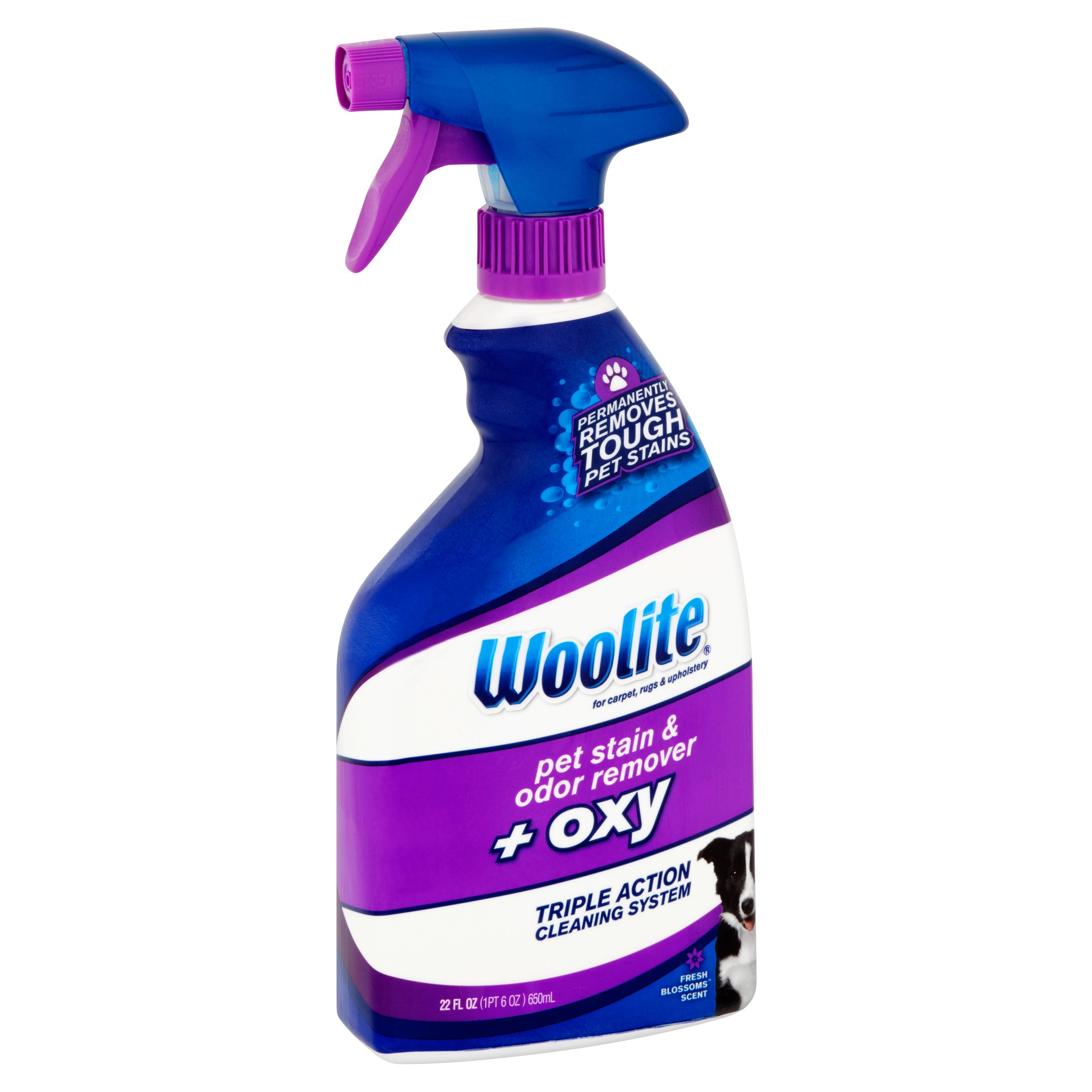 Woolite Fresh Blossoms Scent Pet Stain & Odor Remover + Oxy, 22 fl oz - image 2 of 5