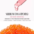 thumbnail image 2 of Multi Balm KAHI Wrinkle Bounce recargable con kit de recarga de 9 ml, 2 of 7