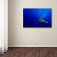 thumbnail image 3 of Mato P. 'Flying' Canvas Art, 3 of 3