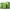 Matcha Green, variant on Zimtown 3 Piece Luggage Set, Carry on Suitcase Sets Hardside Lightweight Spinner with TSA Lock, Light Purple