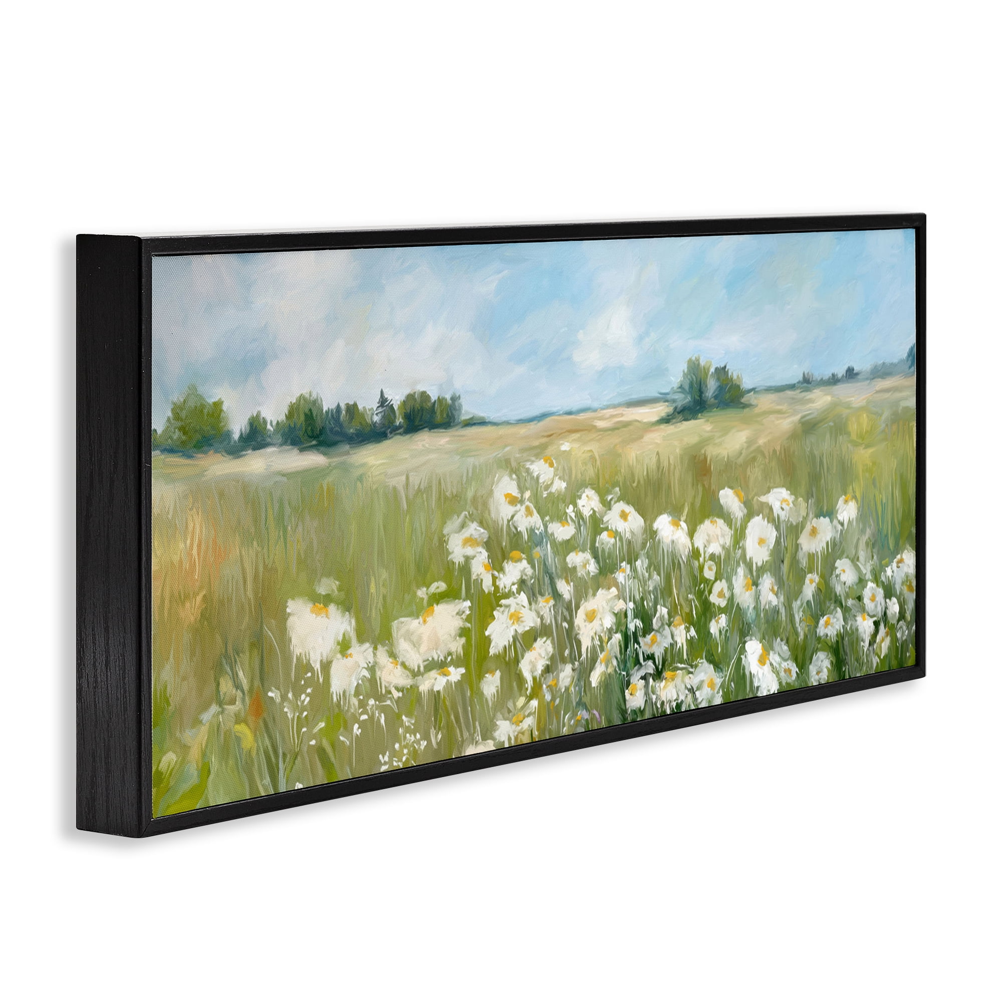Stupell Industries Panoramic Sunlit Cliff Landscape Photography Black Framed Art Print Wall Art, 30 x 13