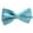 Turquoise Blue, variant on Bow Tie Packages for Wedding and Formal Events, Pre-Tied