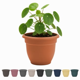 mexican plant pots TALAVERA FLOWER PLANTERS – Sol de Mexico Imports