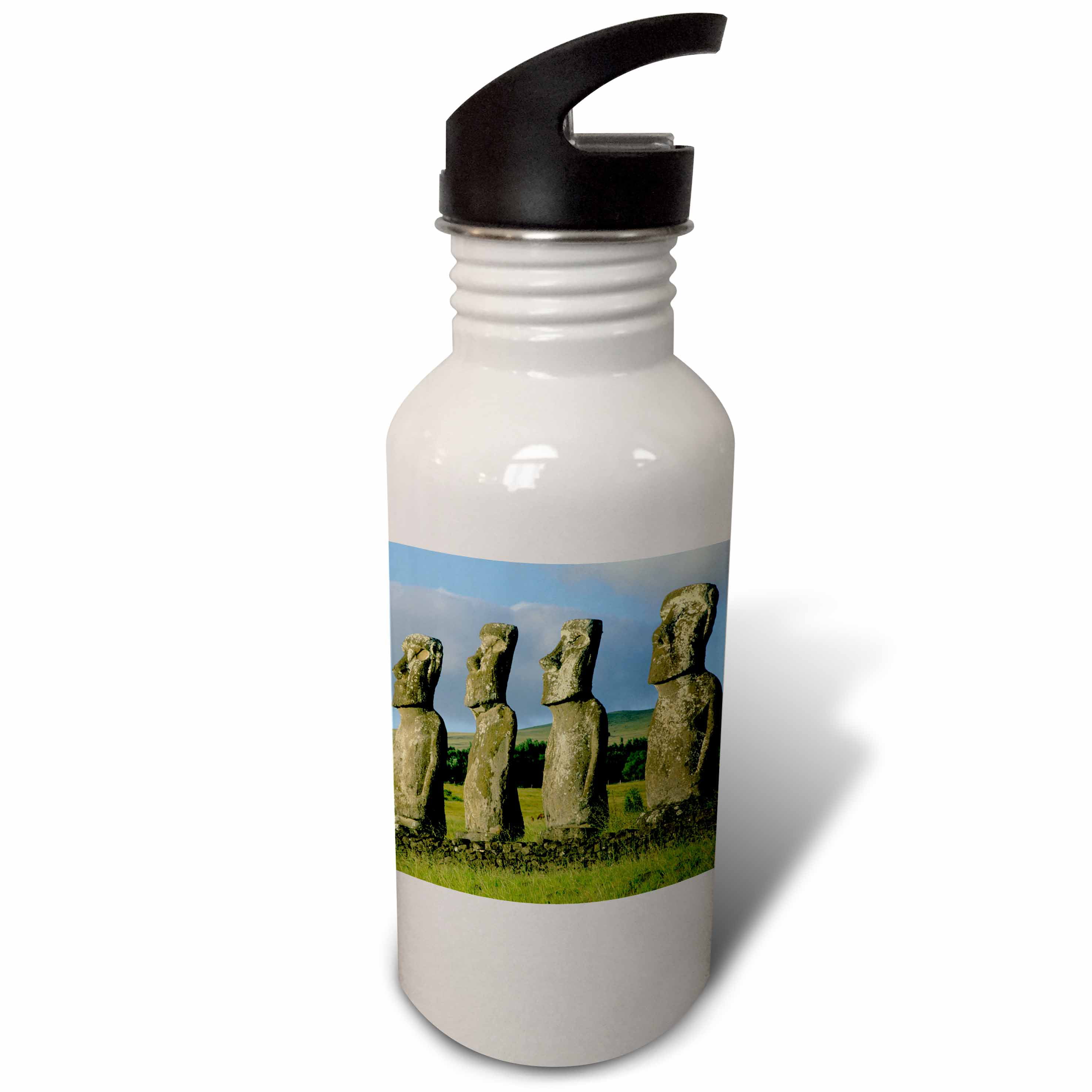 Quechua MH100 Stainless Steel Screw Cap Hiking Water Bottle 20oz
