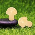 thumbnail image 2 of BNNG Crystal Mushroom Gemstone Sculpture Decor Carved Mini Crystal Mushrooms Polished Cute Mushroom Shaped Stones for Home Garden Decor Meditation Polished 0.81inch Perfect for Worry Stones, 2 of 3