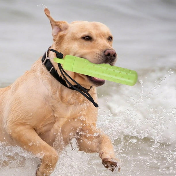 Juguete flotante para perros, herramienta de entrenamiento, suministros de alta visibilidad con cuerda para lanzar, ligero y fácil de usar, juguete de Verde