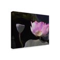 thumbnail image 2 of Trademark Fine Art 'Blushing Lotus III' Canvas Art by Jim Christensen, 2 of 4
