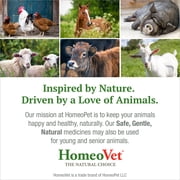 HomeoPet Avian DIGESTIVE UPSETS Digestive Health Support Drops for Birds & Chickens, 15 mL