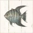 thumbnail image 2 of Gango Home Decor Coastal Fish Sketches Shiplap II & III by Wild Apple Portfolio (Ready to Hang); Two 12x12in Brown Framed Prints, 2 of 5