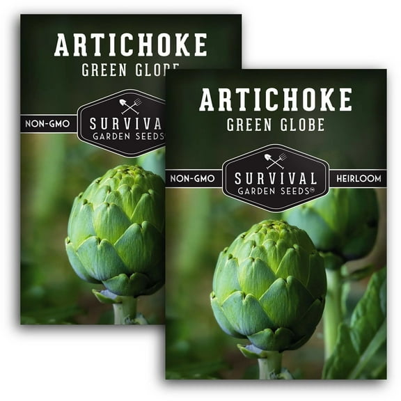 2 Packs Green Globe Artichoke Seeds - Non-GMO Heirloom Vegetable Seeds - Full Sun Perennial