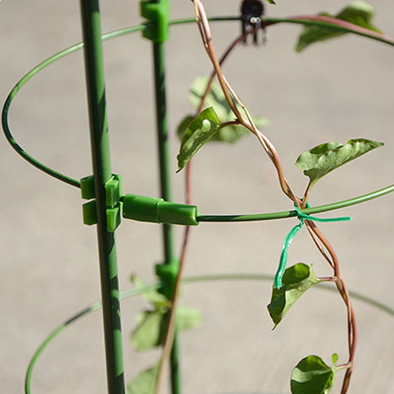 6 Packs 18inch Plant Support Cages for Home Garden Balcony for Orchids, Tomato, Vegetables, Flowers, Climbing Plants