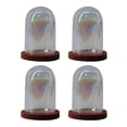 thumbnail image 3 of GUOOL Cloche en Verre Transparent Dôme Fleur Support Micro Paysage Miniature Maison DIY Rouge Nacré, 3 of 9