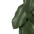 thumbnail image 5 of Vickerman 5' Artificial Green Magnolia Leaf Garland., 5 of 7