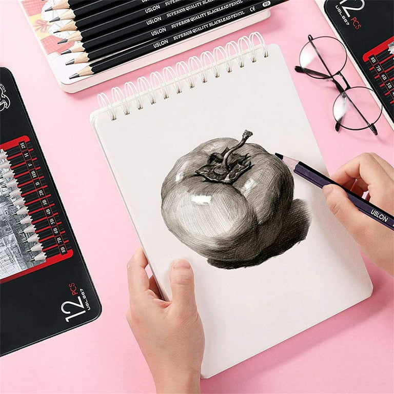 Professional Drawing Sketching Pencil Set - 12 Pieces Art Drawing