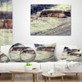 thumbnail image 4 of Designart Hot Springs in Yellowstone - Seascape Throw Pillow - 12x20, 4 of 5