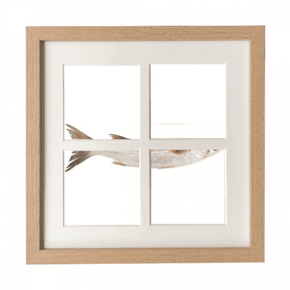Ocean Fish Fresh Activity Frame Wall Tabletop Display 4 Openings Picture