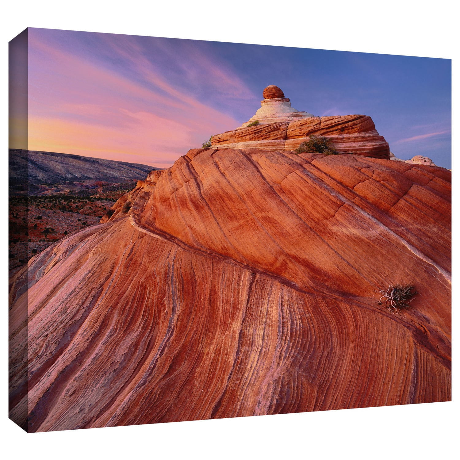 Dean Uhlinger "Paria Wilderness" Gallery-Wrapped Canvas