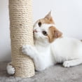 thumbnail image 5 of PETMAKER 19-Inch Cat Scratching Post Tower Scratch Pad - 3 Scratcher Posts and Perch, 5 of 7