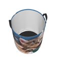 thumbnail image 3 of Goofa Playful Cat Printed Circular Hamper,Laundry Basket with Handles,Storage Baskets Foldable,Large Capacity Laundry Hamper-, 3 of 8
