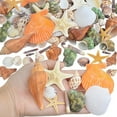 thumbnail image 2 of 80+ pcs Mixed Sea Shells Colorful Natural Beach Seashells Starfish Ocean Shell Fishtank Crafts Ornaments for DIY Beach Theme Party Home Wedding Candle Decorations(Various Styles Sizes), 2 of 7