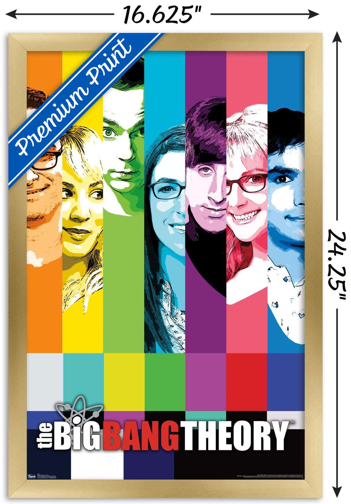 The Big Bang Theory - Signal Wall Poster, 14.725" x 22.375", Framed