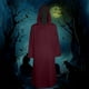 thumbnail image 1 of Capa para mujer, disfraz de Halloween, estilo medieval, capa con medio hombro y chal para mujer, 1 of 7