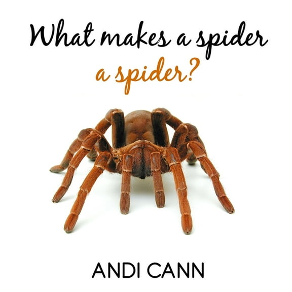 Animal Classes What Makes a Spider a Spider, Book 6, (Paperback)